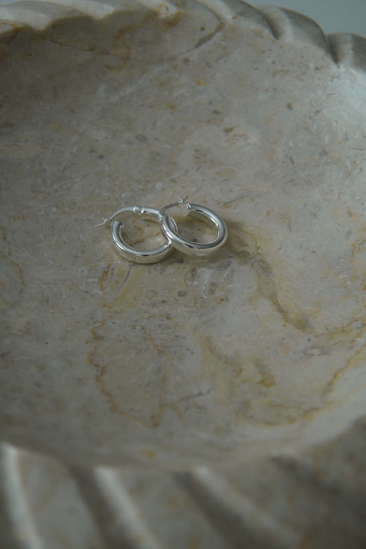 Small Sterling Silver Hoops Earrings